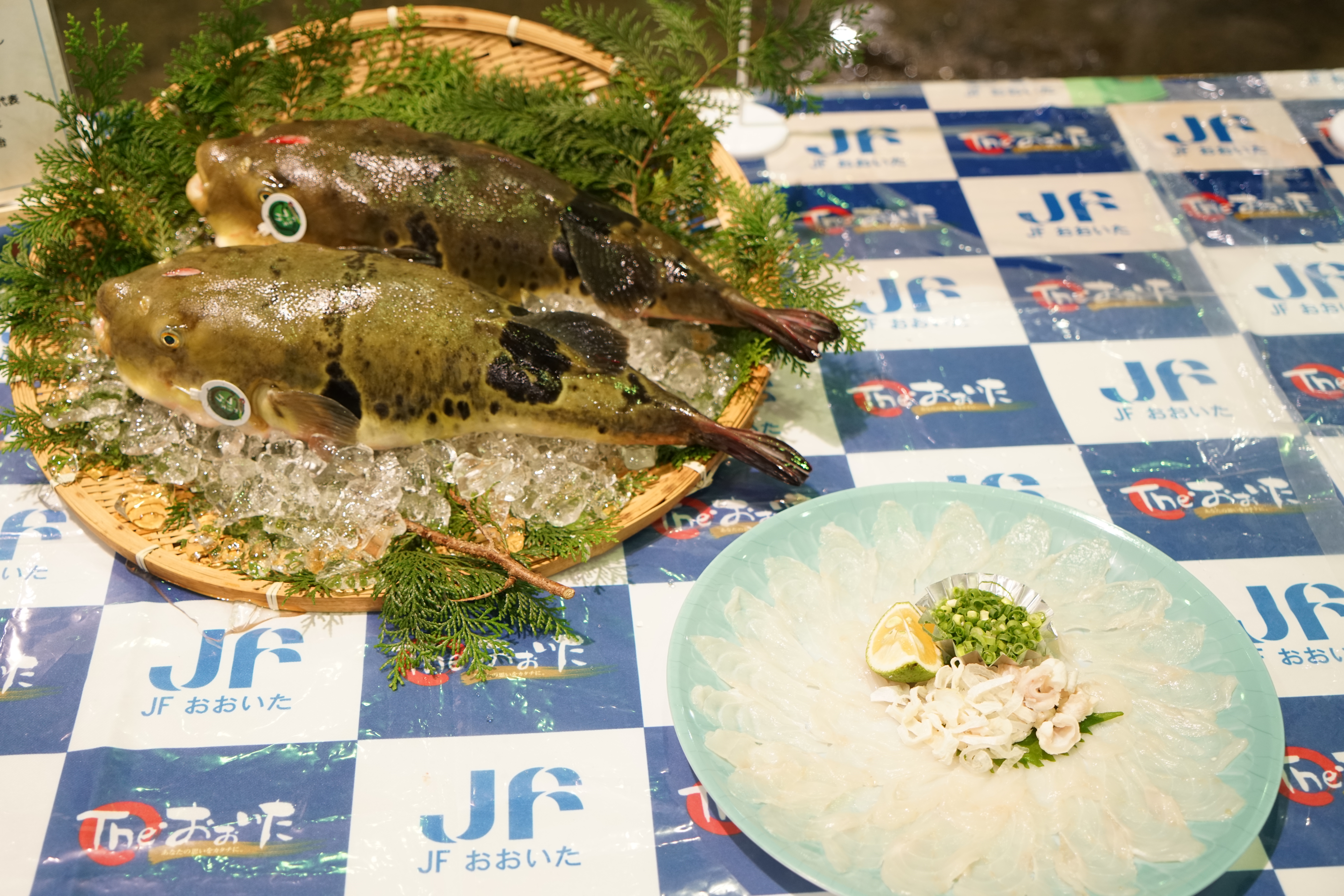 かぼすフグ」・「かぼすヒラメ」の旬入り宣言を行いました。 - 大分県