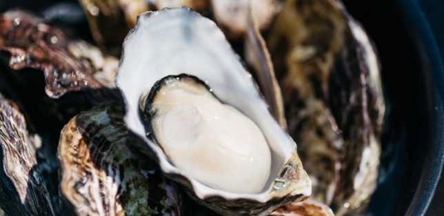 2026年度カキ小屋「美人小屋」の営業について【中津支店】